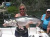 (07/09/2017) - Nice Striped Bass